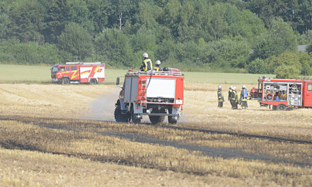 Balver Feuerwehren löschen Flächenbrand im Beckumer Feld