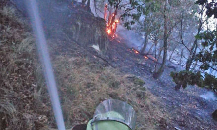 Waldbrand Altena: Balver Feuerwehr übernimmt heute Nachtwache