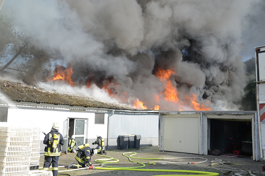 Großbrand auf Beckumer Geflügelfarm  – Feuerwehr versucht Küken zu retten