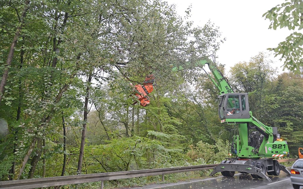 Gehölzpflegearbeiten führen ab Montag zu Verkehrsbehinderungen