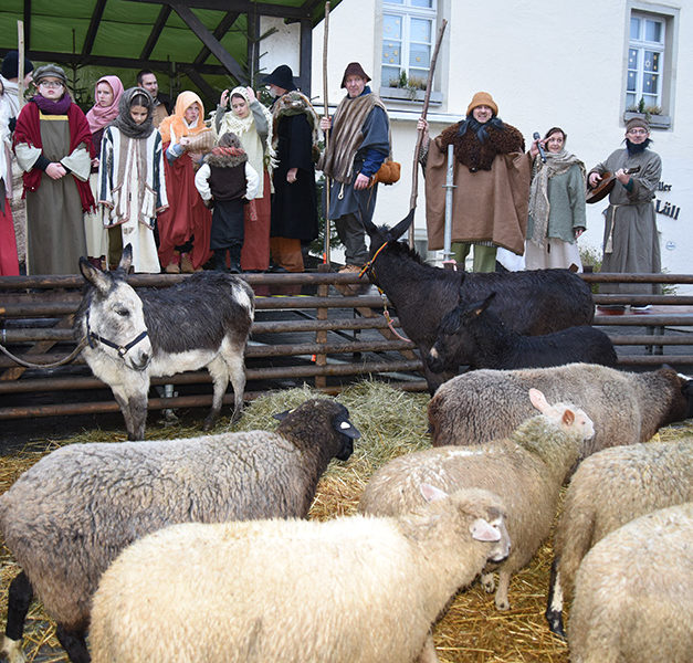 Impressionen vom feuchtfröhlichen Balver Weihnachtsmarkt – Teil 1