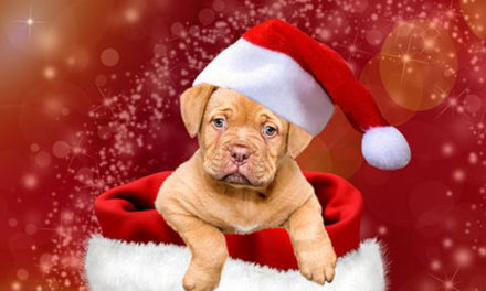 Die HÖNNE-ZEITUNG wünscht allen Lesern ein frohes Weihnachtsfest