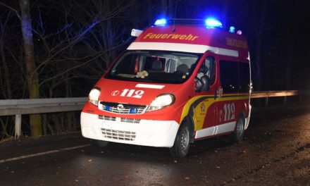 Sturmtief „Dragi“: Balver Feuerwehr im Hönnetal im Einsatz