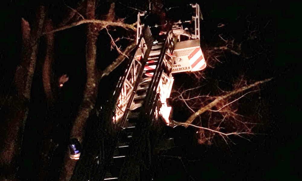 Umgestürzter Baum stoppt Krankentransport im Hönnetal – Feuerwehr heute dreimal im Einsatz
