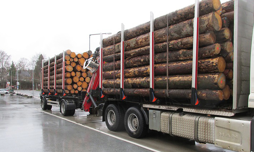 Polizei bremst Holztransporter aus – 51 Tonnen waren den Beamten zuviel