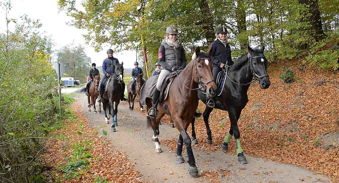 Reiterverein Balve lädt zum Herbstritt durch die bunten Wälder ein