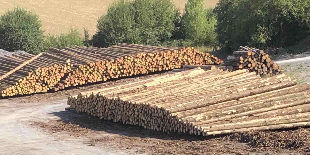 FBG Balve ist wütend auf Wald Holz Sauerland GmbH