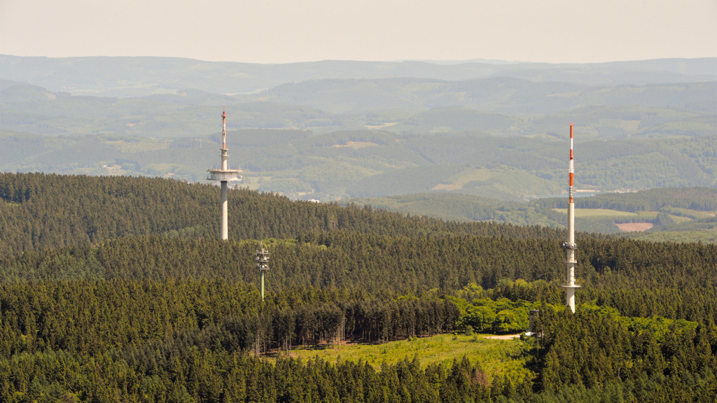 Ist der Wald noch zu retten?