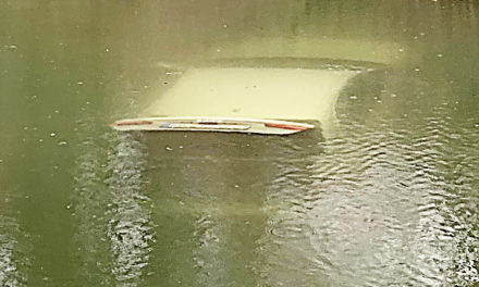 Audi A4 versinkt im Teich
