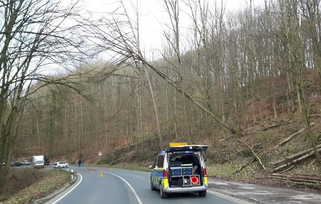Baum über Hönnetalstraße