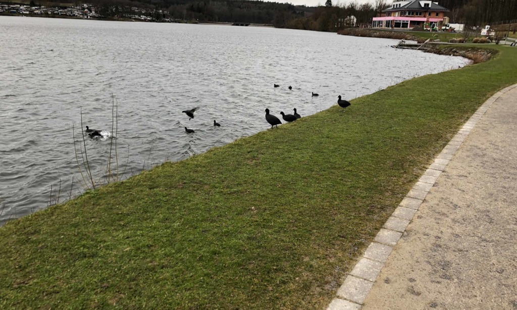 SORPESEE: Hitzige Diskussion um ausreichend Parkplätze für Goldbäckerei Grote