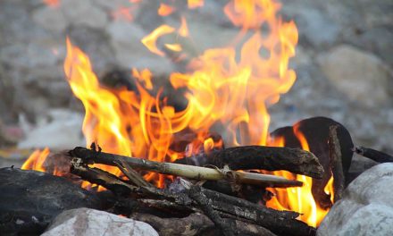 Vier Personen machen Lagerfeuer im trockenen Wald