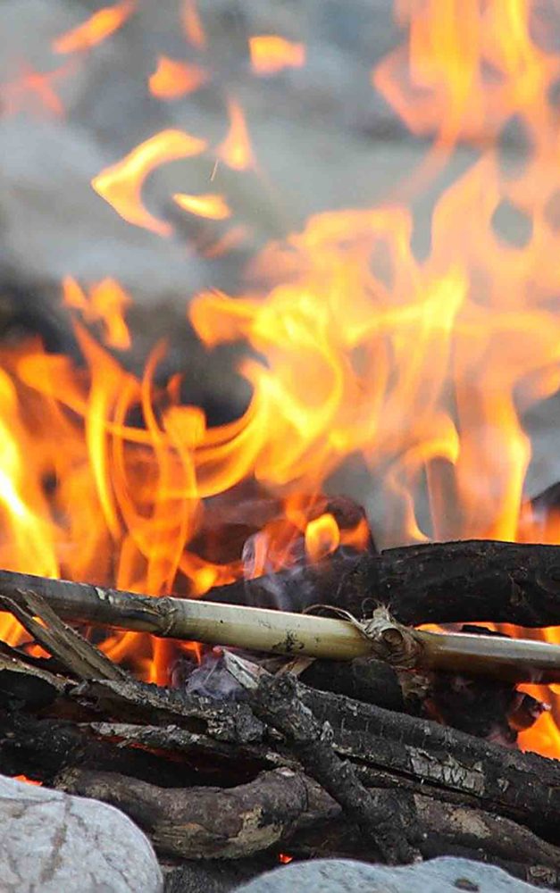 Vier Personen machen Lagerfeuer im trockenen Wald