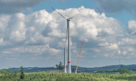 Faszination Windenergieanlagen: Auf dem Kohlberg war heute der Bär los