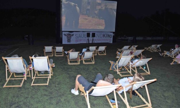 Sauerlandkino am Balver Sportplatz startet