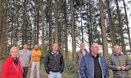 „Balver Babywald“ umfasst Fläche von 4.000 Quadratmetern