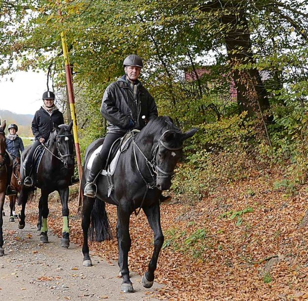 Aus für traditionellen Herbstritt des Reitervereins Balve