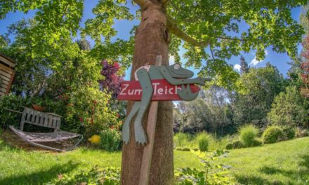 Jetzt anmelden für Aktion „Offene Gärten im Ruhrbogen“ – FOTOGALERIE