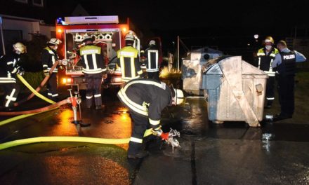 Ehrenamtlicher Einsatz der Feuerwehren aus L.A. und Balve in Farbe