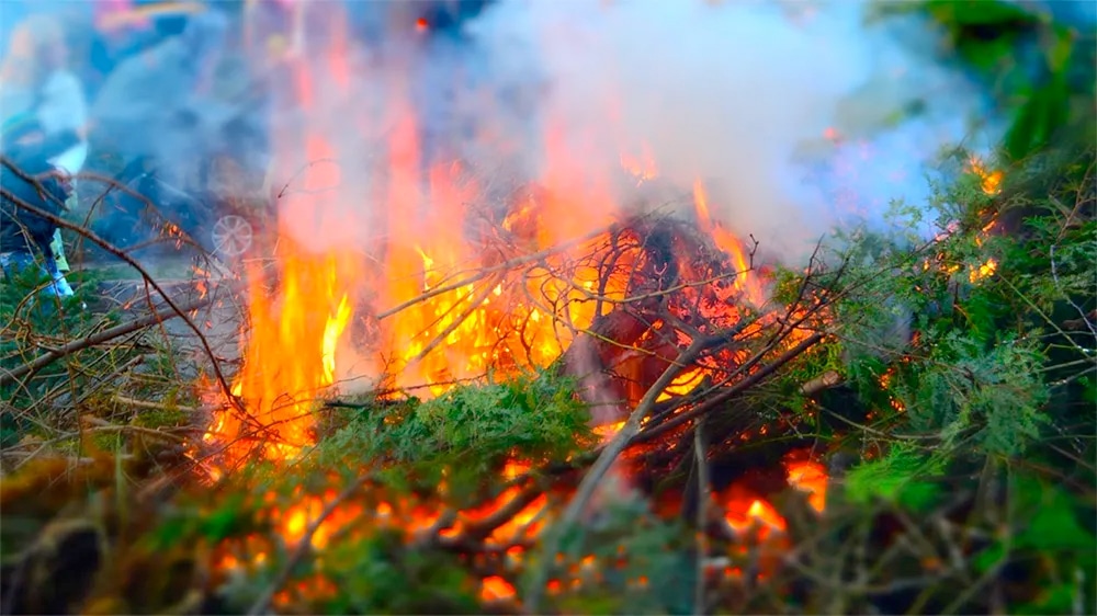Osterfeuer dürfen nicht überall brennen – Grünzeug noch nicht sammeln