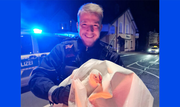 Tierisch gute Geschichte: Der frühe Polizist fängt den Vogel