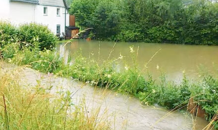 Diskussion über den Hochwasserschutz in Langenholthausen