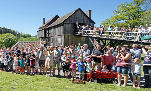 Saisoneröffnung Luisenhütte: Musik, Zirkus, Handwerk und mehr