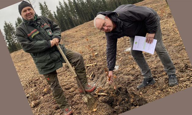 4000 Bäume wurden im Neuenrader Bürgerwald gepflanzt