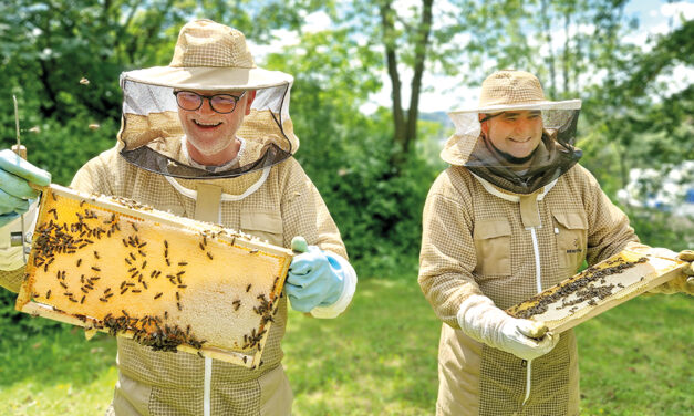 Neun Bienen-Völker stehen auf dem Firmengelände