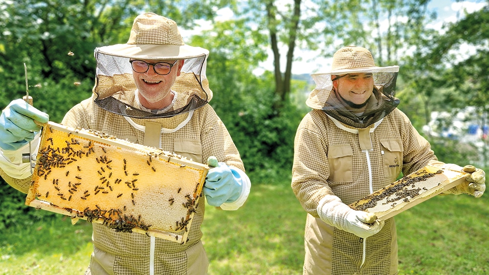 Neun Bienen-Völker stehen auf dem Firmengelände