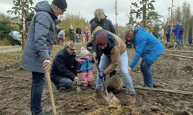 Baumpflanzaktion am Hexentanzplatz für Neuenrader Babys