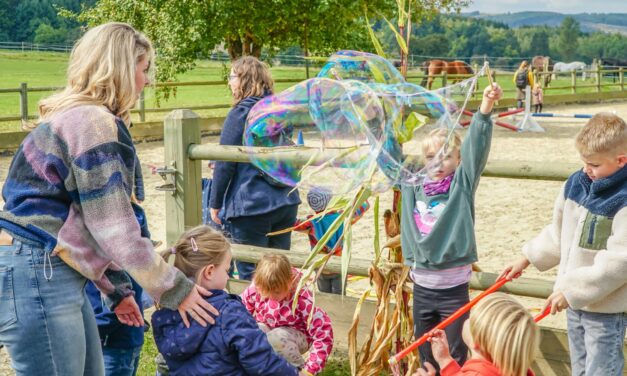 Pferdeparty in Langenholthausen – Vierbeiner lockten zum Sommerfest