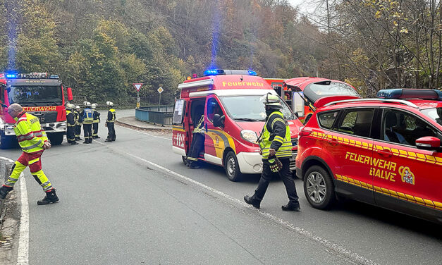 Lokführer sah Wandergruppe am Gleisbett – Keine Verletzten