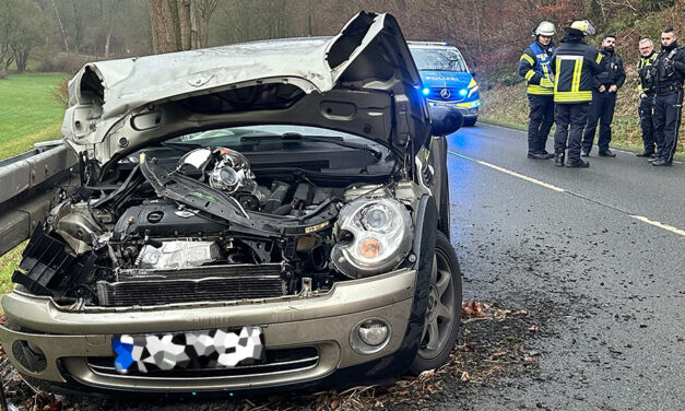 Zwei Verletzte nach Alleinunfall auf der B229