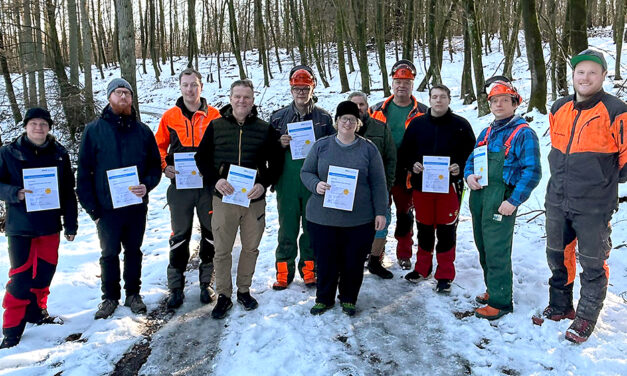 Richtiges Baum fällen will gelernt sein