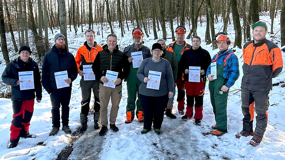 Richtiges Baum fällen will gelernt sein