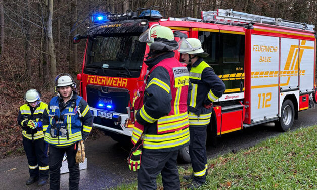 Zwei sturmbedingte Einsätze für die Feuerwehr