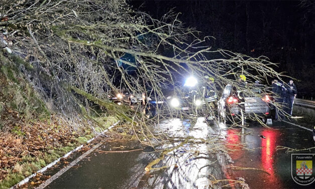 Baum fiel auf Auto – Frau unter Schock