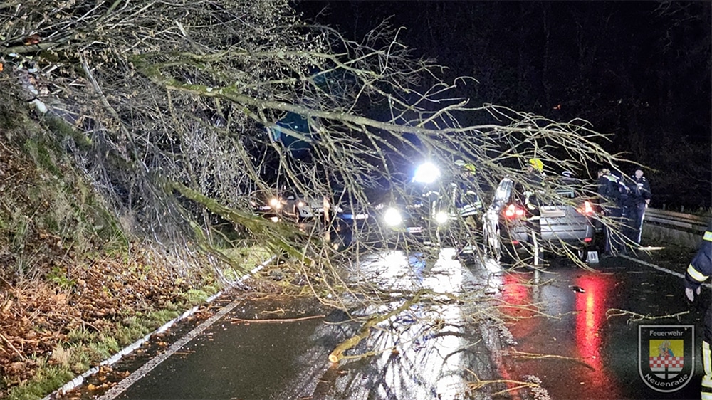 Baum fiel auf Auto – Frau unter Schock