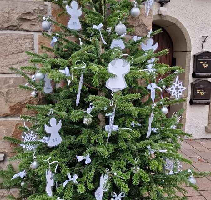 Weihnachtsbäume werden in Mellen Montag abgeholt