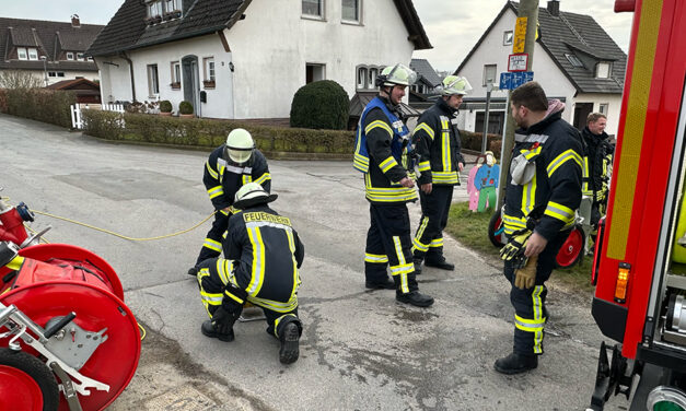 Pellets kokeln und verqualmen Wohnzimmer