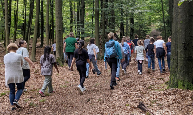 Jetzt buchen: Schulausflug mit dem Natursprinter