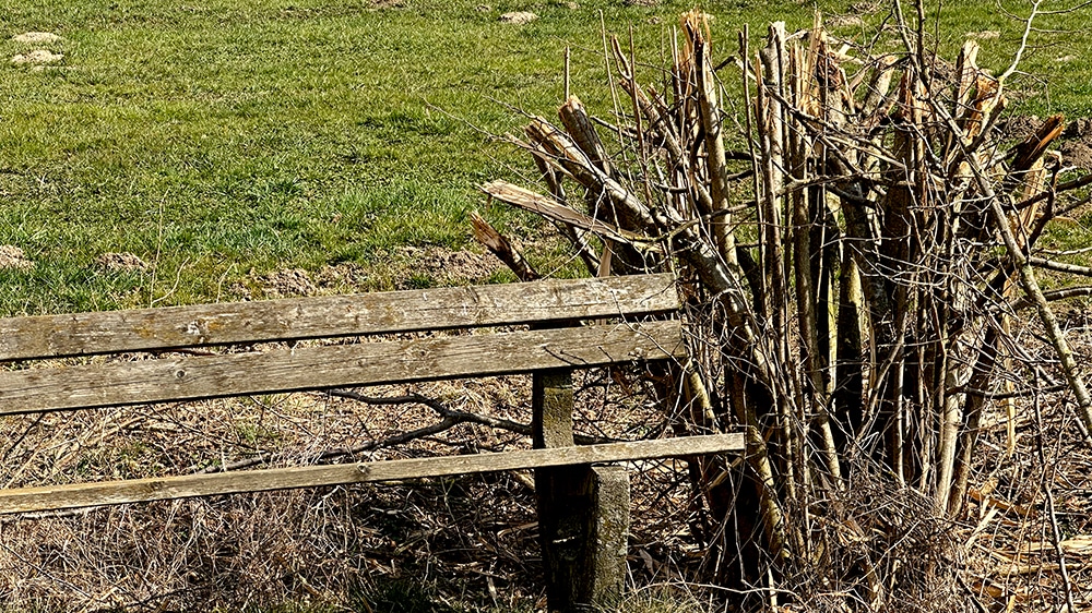 Naturfrevel durch Abholzung im Amecketal