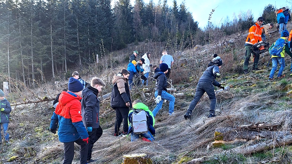 Grundschulkinder brachten 500 Setzlinge in die Erde