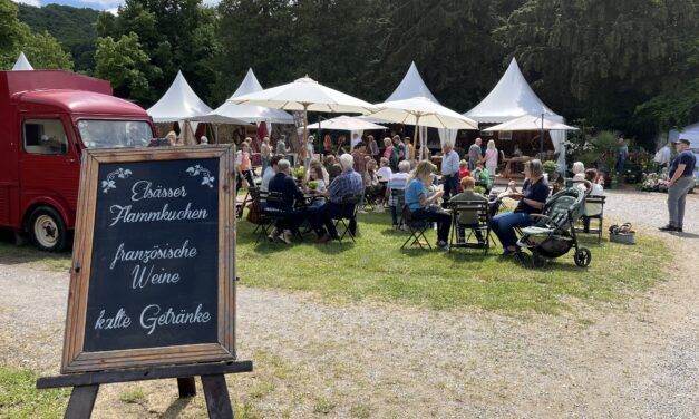 Strahlender Frühling auf der Landpartie
