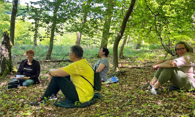 Poesie unter Buchen beim literarischen Waldbaden