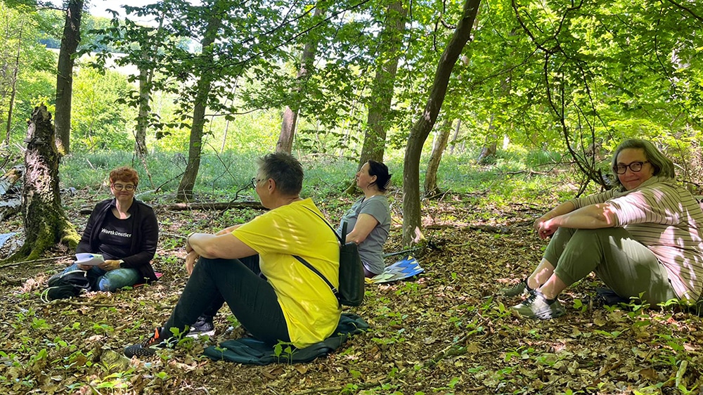 Poesie unter Buchen beim literarischen Waldbaden