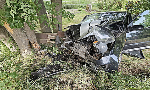 Pkw prallt vor Telefonmast und Baum
