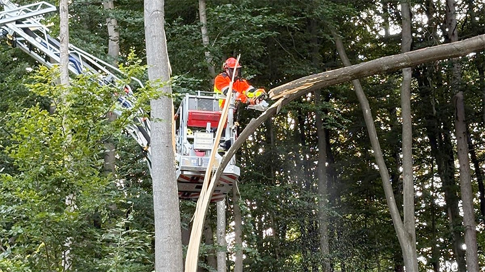 Gefährlicher Baumbruch am Sorpesee