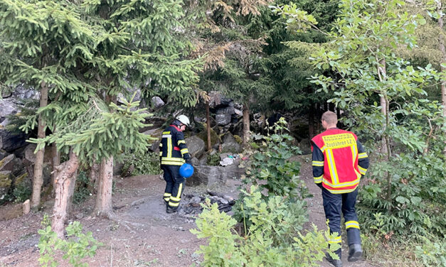 Feuerwehr sehr erzürnt über Einsatz im Steinbruch